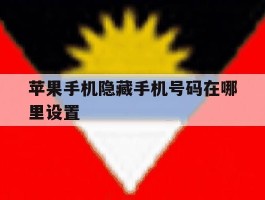 苹果手机隐藏手机号码在哪里设置
