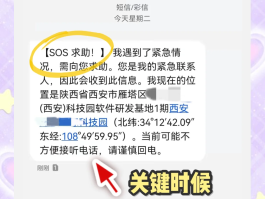 网络虚拟电话软件显示别的电话号码怎么办的简单介绍