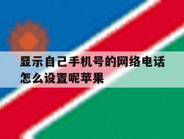 显示自己手机号的网络电话怎么设置呢苹果
