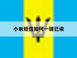 小米短信如何一键已读