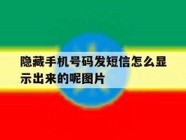 包含隐藏手机号码发短信怎么显示出来的呢图片的词条