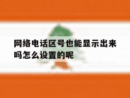 包含网络电话区号也能显示出来吗怎么设置的呢的词条