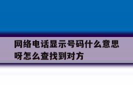 网络电话显示号码什么意思呀怎么查找到对方