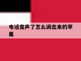电话变声了怎么调出来的苹果