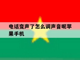 电话变声了怎么调声音呢苹果手机