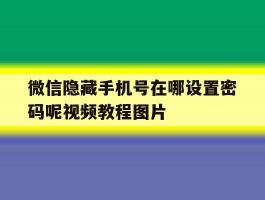 包含微信隐藏手机号在哪设置密码呢视频教程图片的词条