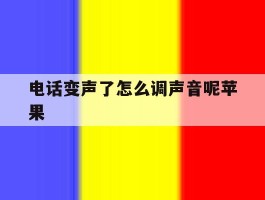 电话变声了怎么调声音呢苹果