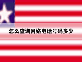 怎么查询网络电话号码多少