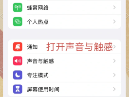 电话变声在哪设置声音呢苹果版