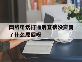 网络电话打通后直接没声音了什么原因呀的简单介绍