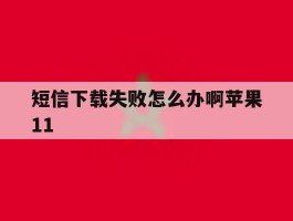 短信下载失败怎么办啊苹果11的简单介绍