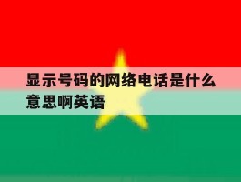 显示号码的网络电话是什么意思啊英语