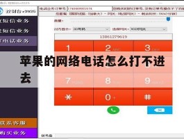苹果的网络电话怎么打不进去