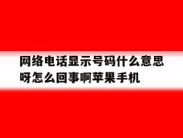 包含网络电话显示号码什么意思呀怎么回事啊苹果手机的词条