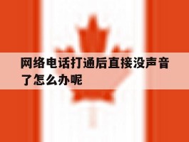 网络电话打通后直接没声音了怎么办呢
