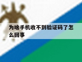 为啥手机收不到验证码了怎么回事