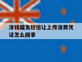 洋钱罐发短信让上传消费凭证怎么回事