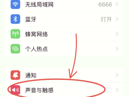 网络电话来电没有声音是什么原因呢怎么解决的简单介绍