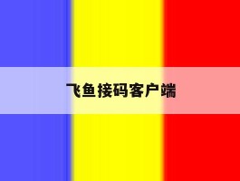 飞鱼接码客户端