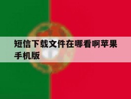短信下载文件在哪看啊苹果手机版的简单介绍