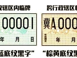临时号牌跟正式号牌一样吗