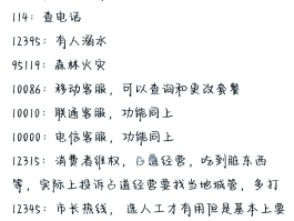 哪个网络电话显示本机号码呢怎么查