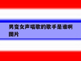 男变女声唱歌的歌手是谁啊图片