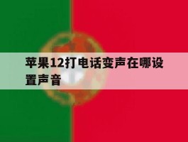 苹果12打电话变声在哪设置声音