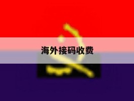 海外接码收费