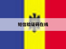 短信验证码在线