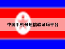 中国手机号短信验证码平台