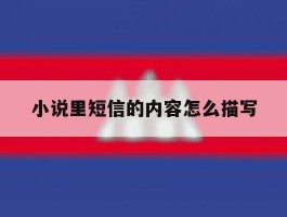 小说里短信的内容怎么描写