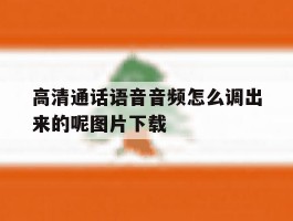 关于高清通话语音音频怎么调出来的呢图片下载的信息