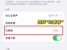 包含电话变声音怎么设置的呢苹果手机的词条