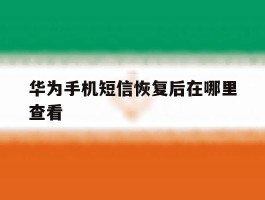 华为手机短信恢复后在哪里查看