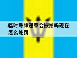 临时号牌违章会被拍吗现在怎么处罚
