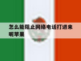 怎么能阻止网络电话打进来呢苹果