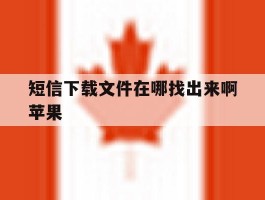 短信下载文件在哪找出来啊苹果