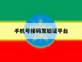 手机号接码发验证平台