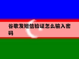 谷歌发短信验证怎么输入密码