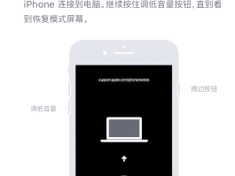 苹果的网络电话怎么打不出去