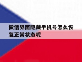 微信界面隐藏手机号怎么恢复正常状态呢的简单介绍