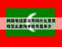 网络电话显示号码什么意思呀怎么查询手机号是多少的简单介绍