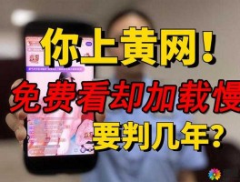 代理平台传播淫秽