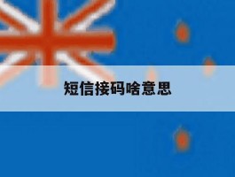 短信接码啥意思