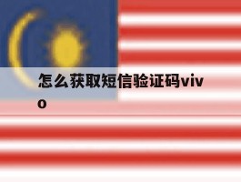 怎么获取短信验证码vivo