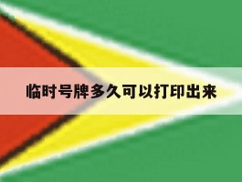 临时号牌多久可以打印出来