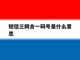 短信三网合一码号是什么意思