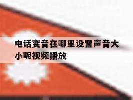 电话变音在哪里设置声音大小呢视频播放