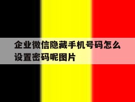 企业微信隐藏手机号码怎么设置密码呢图片的简单介绍